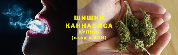 дурь Ладушкин