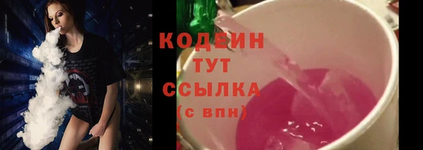 дурь Ладушкин